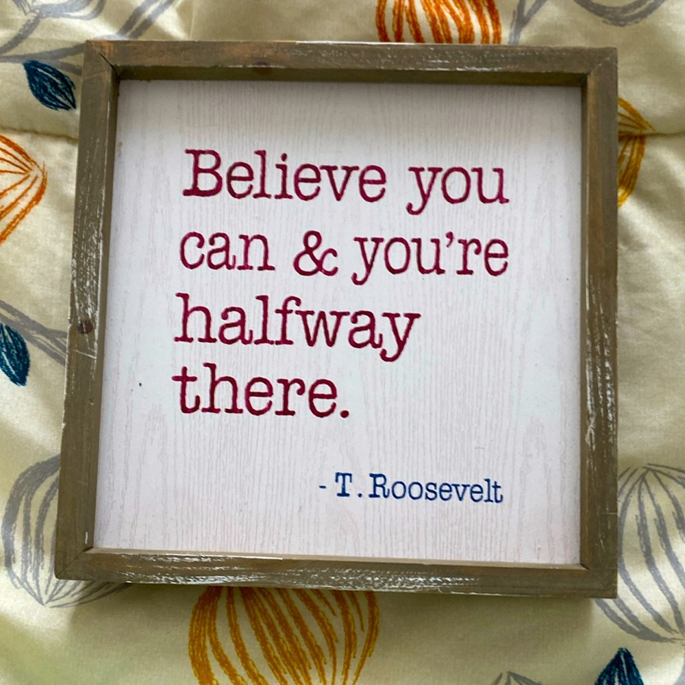 picture of a quote from T.Roosevelt